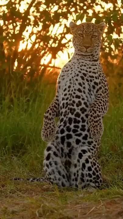 Доброе утро, Мариуполь!. Просыпаемся, улыбаемся, встречаем новый день! Пусть он будет мирным, спокойным и счастливым для всех, пусть несет с собой радость и удачу