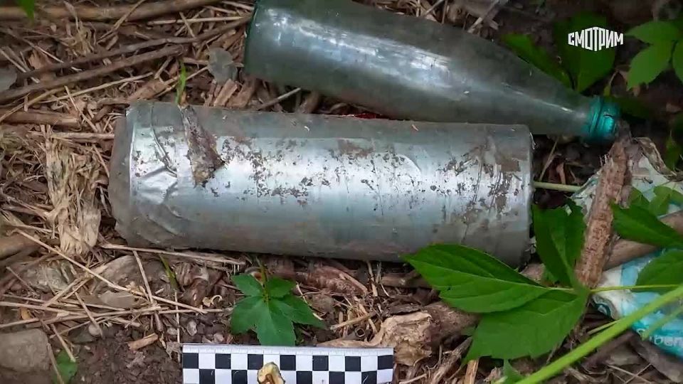 Задержана жительница Донецка, завербованная Службой безопасности Украины, сообщили в ФСБ России