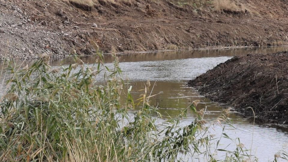 Денис Пушилин: Продолжаем расчистку реки Кальмиус от зарослей и мусора Денис Пушилин: Продолжаем расчистку реки Кальмиус от зарослей и мусора