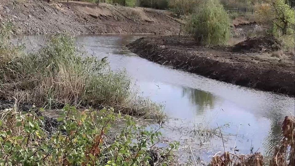 Денис Пушилин: Продолжаем расчистку реки Кальмиус от зарослей и мусора