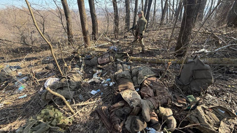 «До 800 человек за село»: штабист «Азова» проболтался о жутких потерях ВСУ