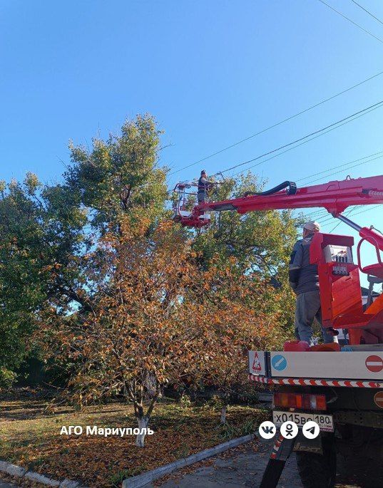 ������������� ���������� ���������� ��������������� ������ ���������� ����������