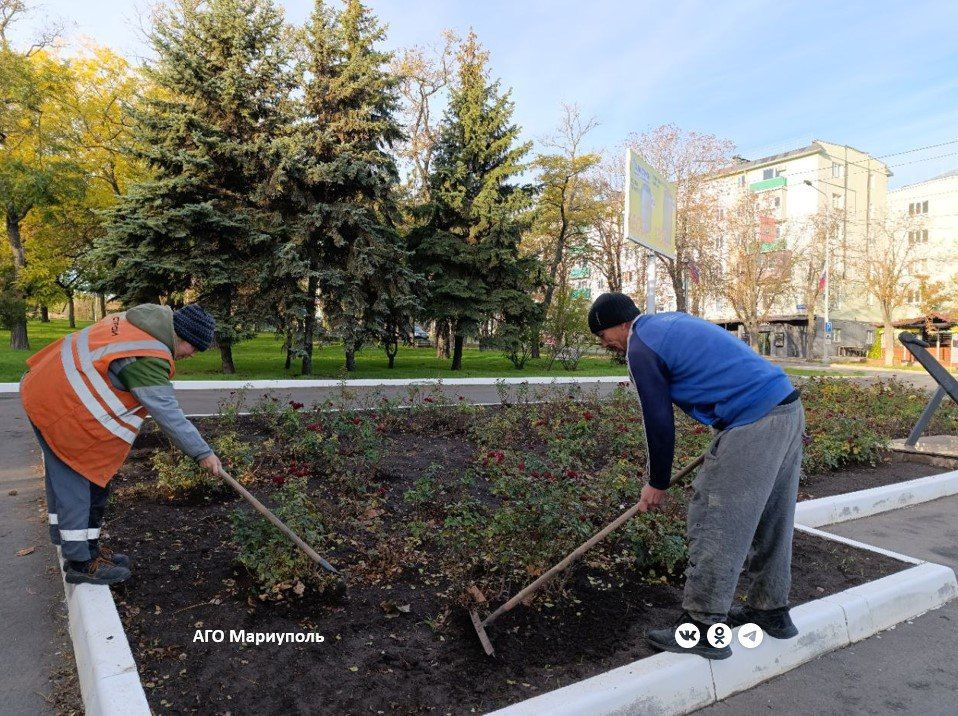В Мариуполе рабочие зеленого строительства готовят цветники к зиме