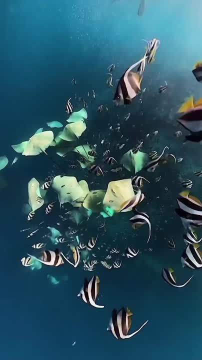 Спокойной ночи, Мариуполь!