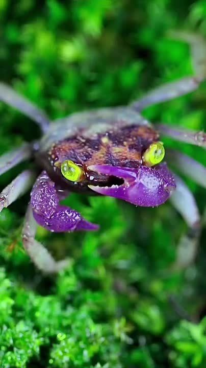 С добрым утром, Мариуполь!