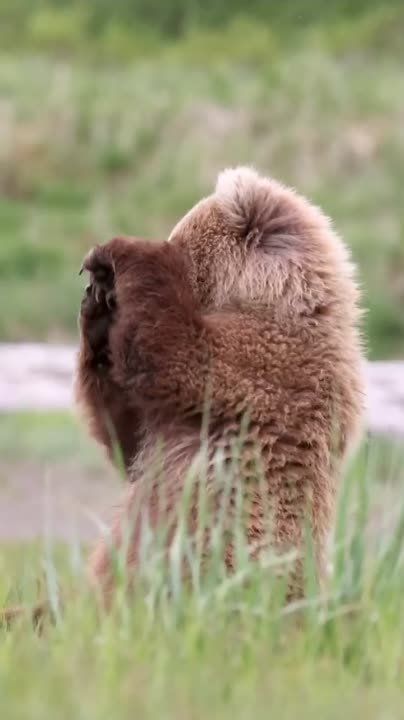 С добрым утром, Мариуполь!