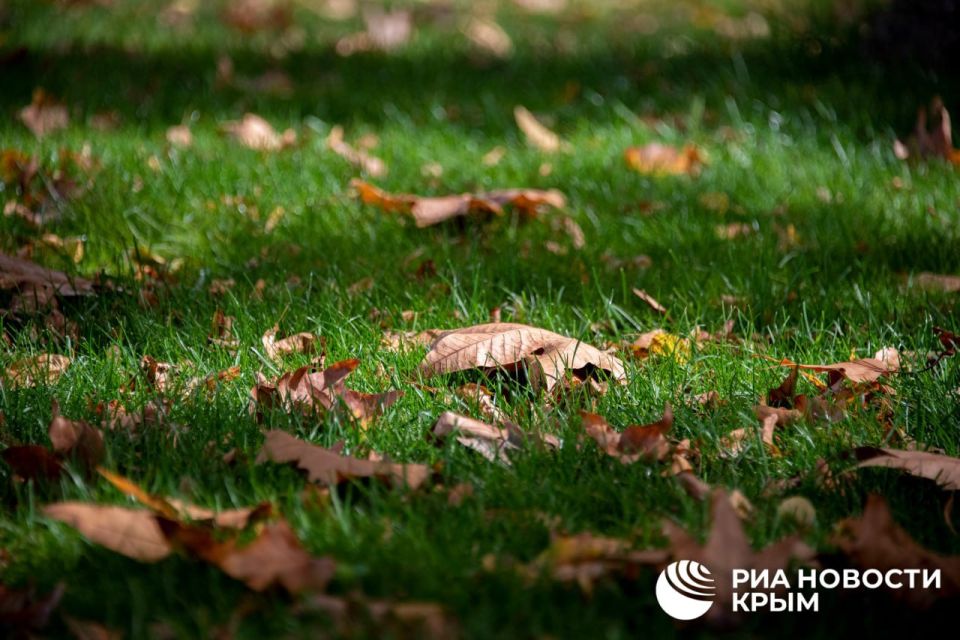 Погода на новых территориях России