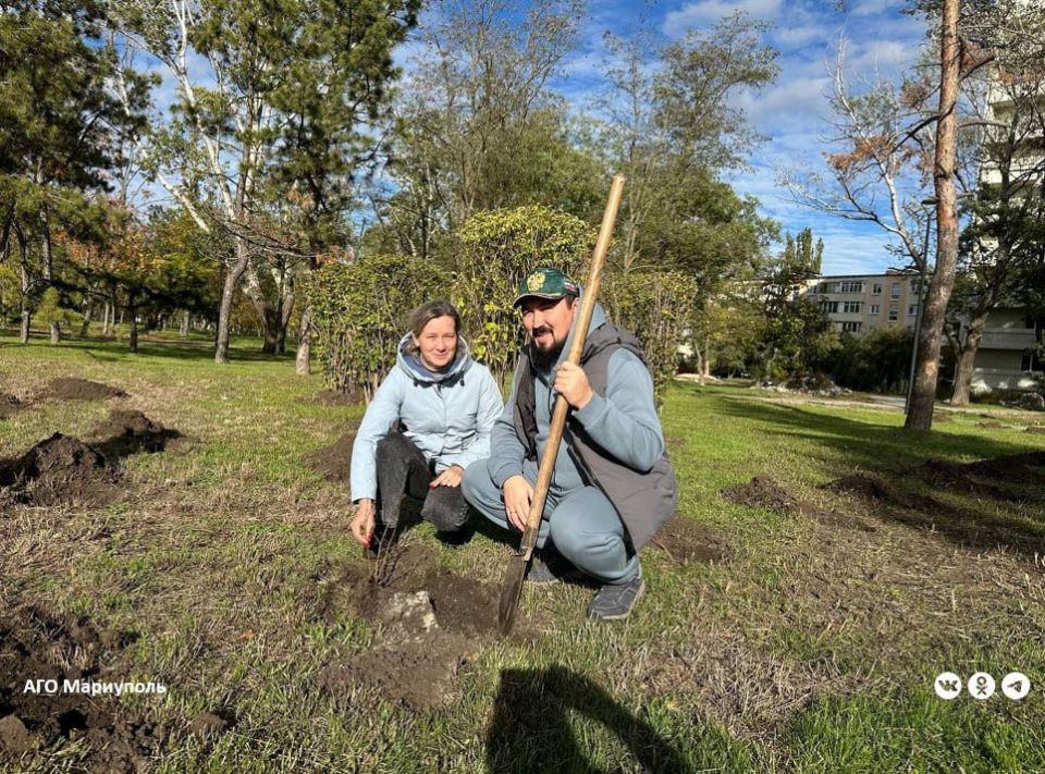 В Мариуполе эко-активисты провели акцию «Семейный лес» В Мариуполе эко-активисты провели акцию «Семейный лес»