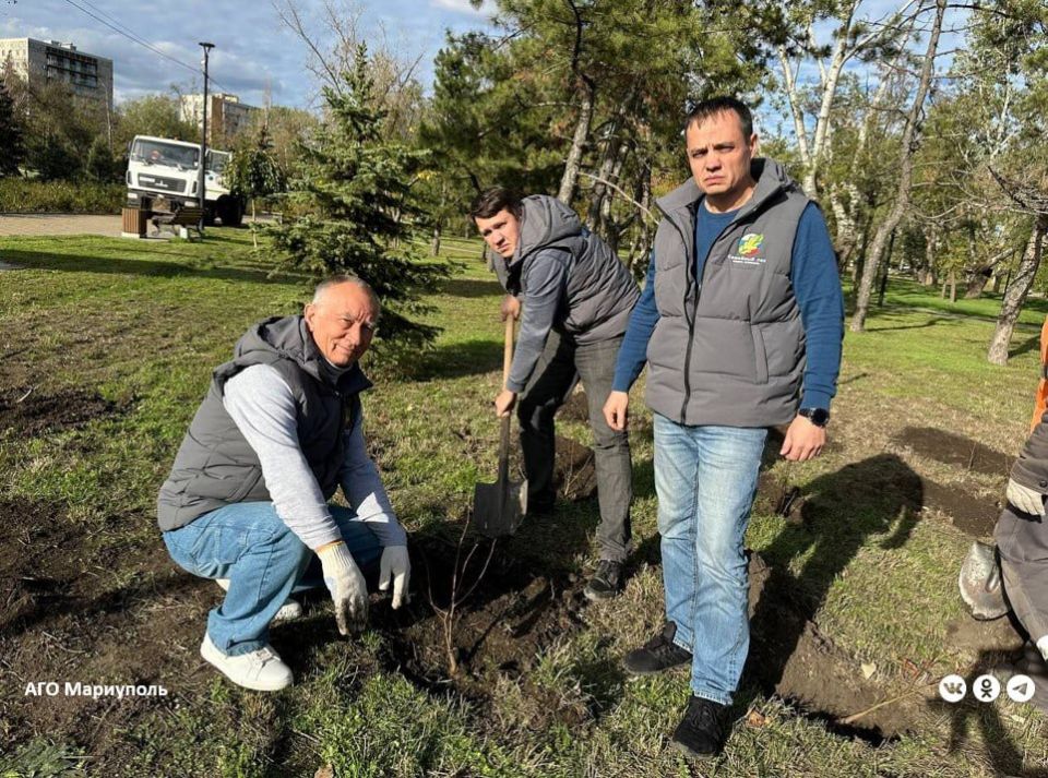 В Мариуполе эко-активисты провели акцию «Семейный лес» В Мариуполе эко-активисты провели акцию «Семейный лес»