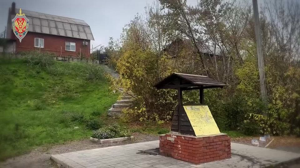 В Псковской области ФСБ задержала жительницу ДНР за финансирование терроризма