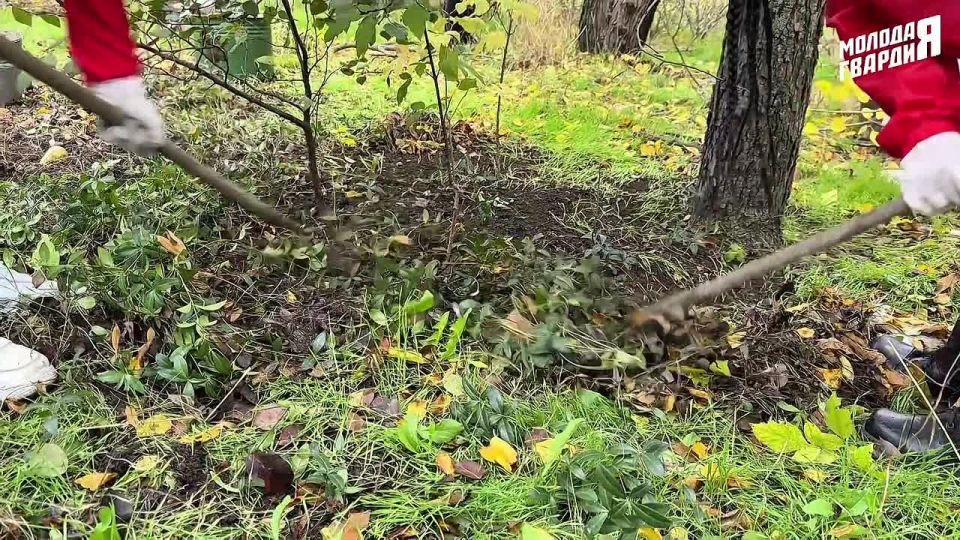 Добро — это не слова, а реальные поступки