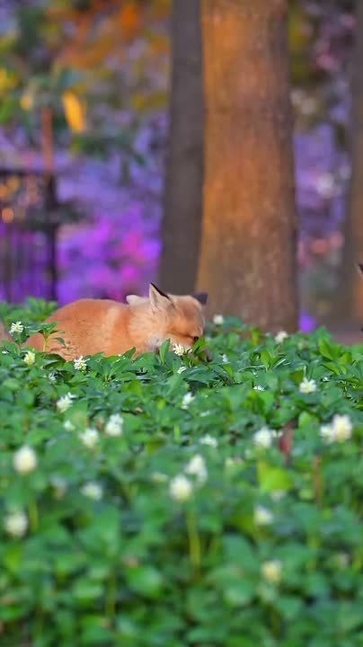 С добрым утром, Мариуполь!