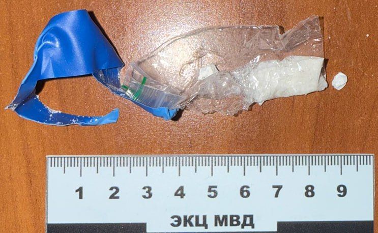 В Донецке полицейские задержали наркосбытчика В Донецке полицейские задержали наркосбытчика