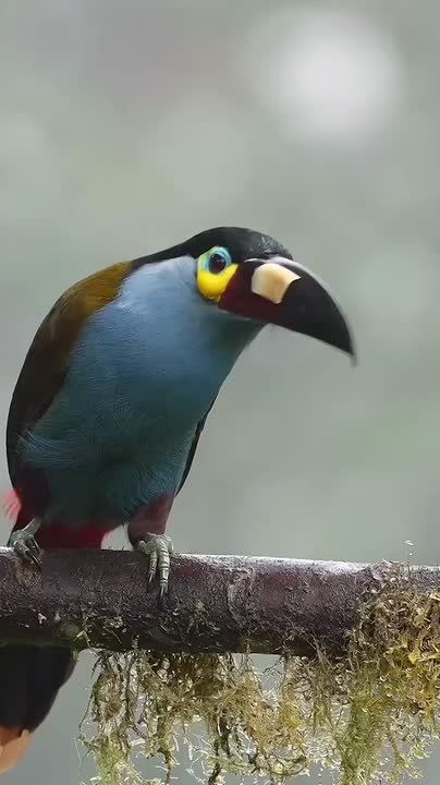 Спокойной ночи, Мариуполь!