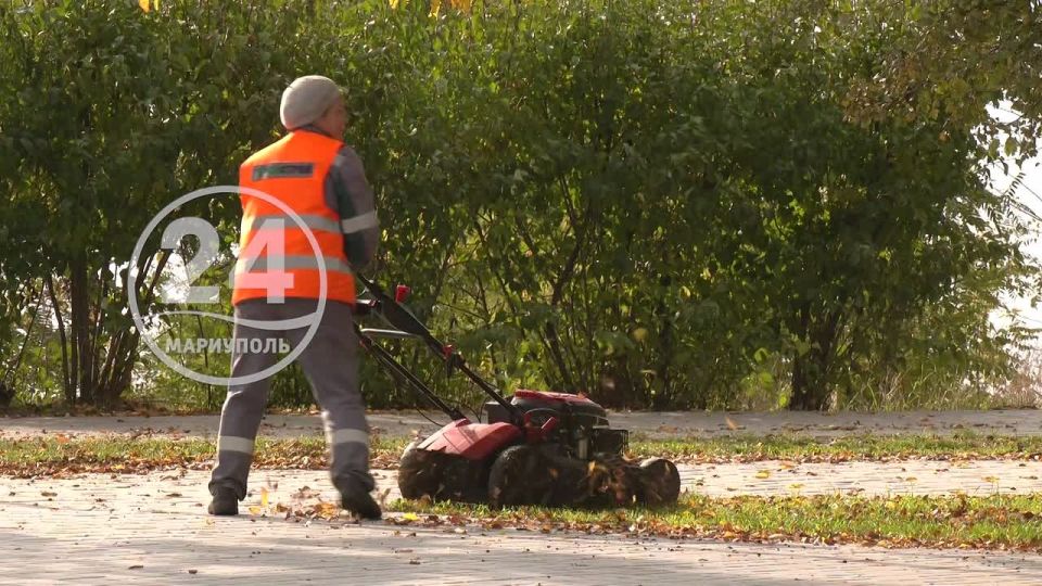 В преддверие холодов коммунальники активно приступили к уборке зеленых зон во всех районах города