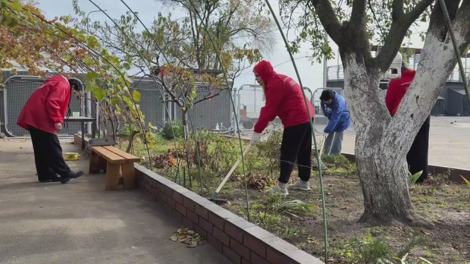 Волонтёры «Молодой Гвардии» и «Волонтёрской Роты» провели субботник возле водно-спортивного комплекса «Парус»