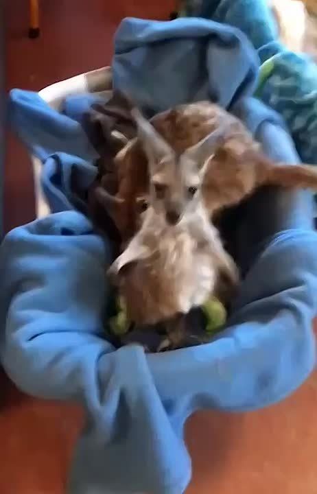 С добрым утром, Мариуполь!