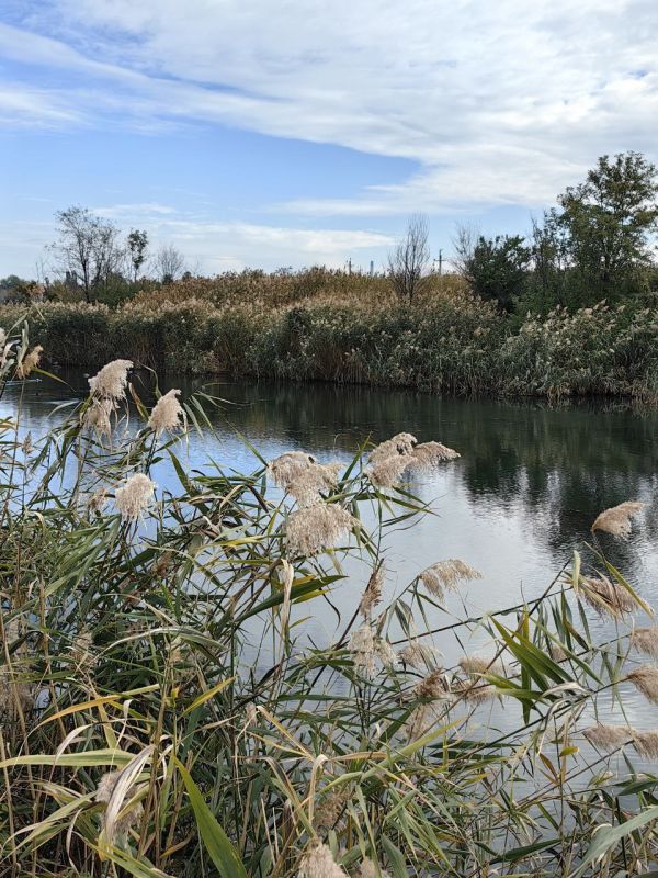 Родной город ясным осенним днем прекрасен Родной город ясным осенним днем прекрасен