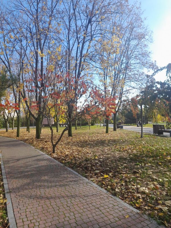 Родной город ясным осенним днем прекрасен Родной город ясным осенним днем прекрасен