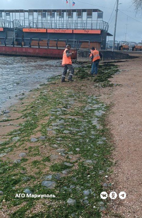 В Мариуполе коммунальщики расчистили пляжи от выбросов моря