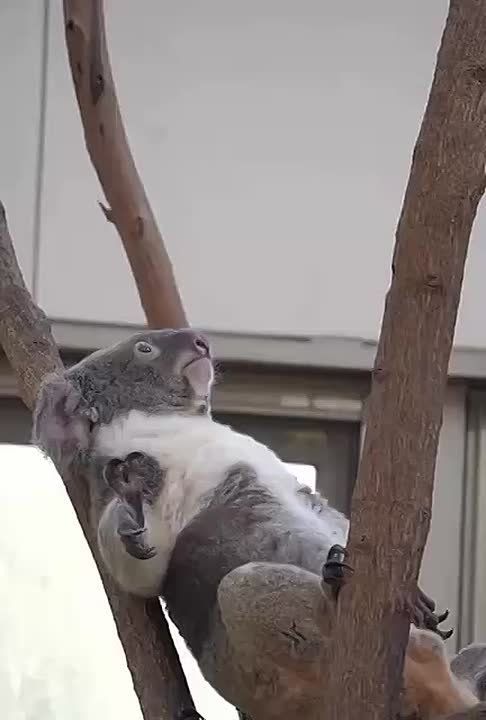 Спокойной ночи, Мариуполь!