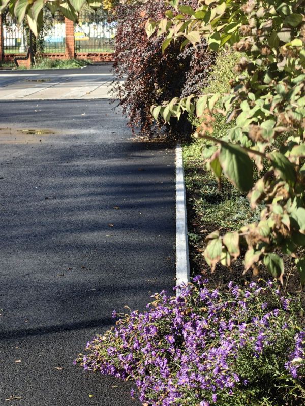 Через несколько дней ноябрь, а у нас цветут цветы: Мариуполь есть за что любить Через несколько дней ноябрь, а у нас цветут цветы: Мариуполь есть за что любить