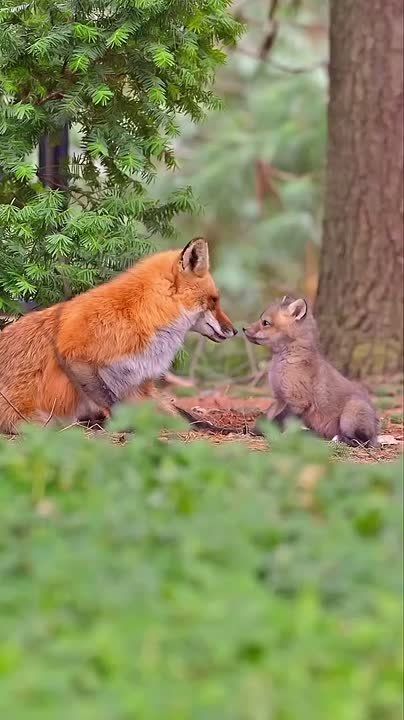 Доброе утро, Мариуполь!. Пусть этот день начнётся с хорошего настроения, доброй улыбки, вкусного завтрака и исполнения желаний