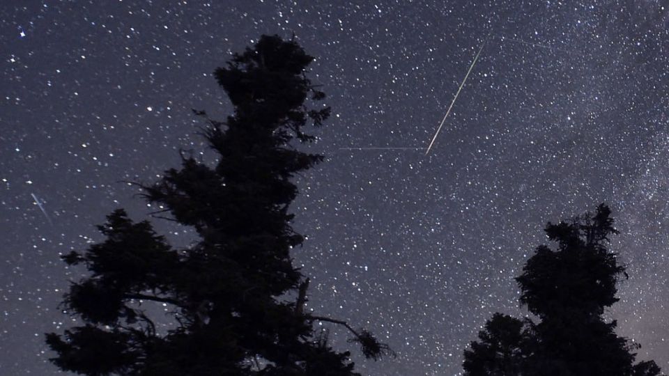 Россияне в ноябре увидят звездопад Леониды из созвездия Льва