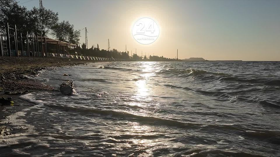 Мы в Telegram. Мы в МАХ