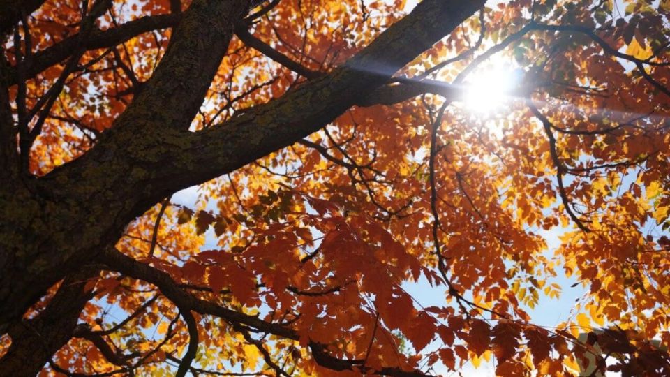 Погода на новых территориях России