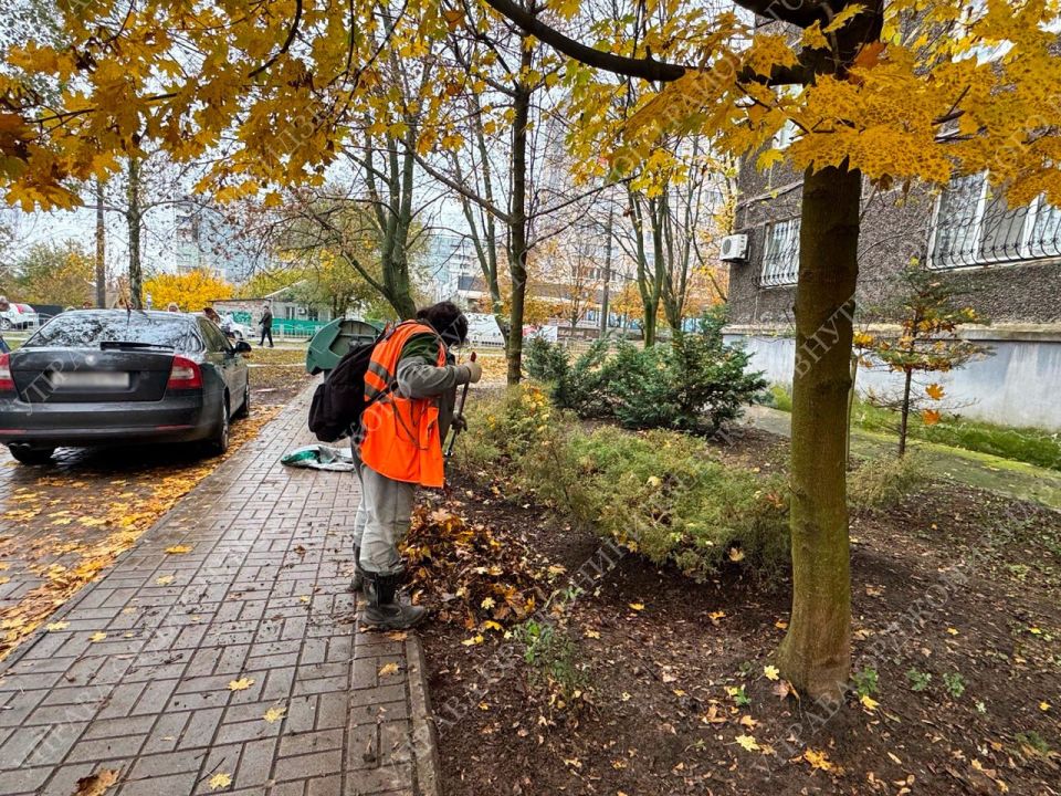В ЕДИНСТВЕ - СИЛА. В преддверии Дня народного единства, а также в рамках подготовки к осенне-зимнему периоду, сотрудники Управы Орджоникидзевского района приняли активное участие в общегородском субботнике В ЕДИНСТВЕ - СИЛА. В преддверии Дня народного единства, а также в рамках подготовки к осенне-зимнему периоду, сотрудники Управы Орджоникидзевского района приняли активное участие в общегородском субботнике