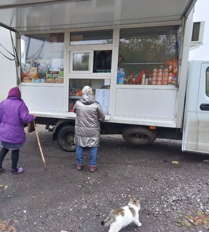  29  31  2025             , , ,  