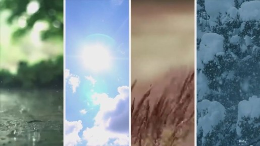 Мы в Telegram. Мы в МАХ