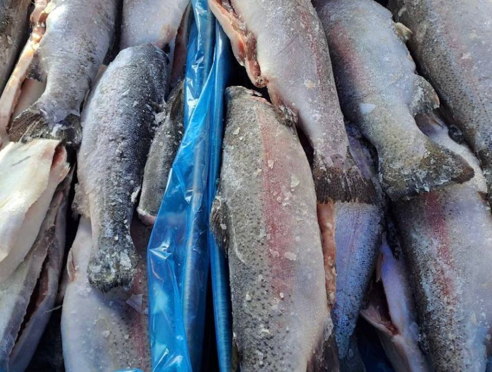 ������������ ������� � ������ ���������