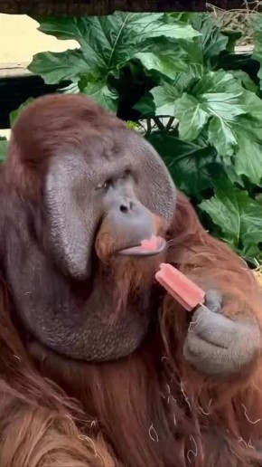 Доброе утро, Мариуполь!. Пусть этот день начнётся с хорошего настроения, доброй улыбки, вкусного завтрака и исполнения желаний