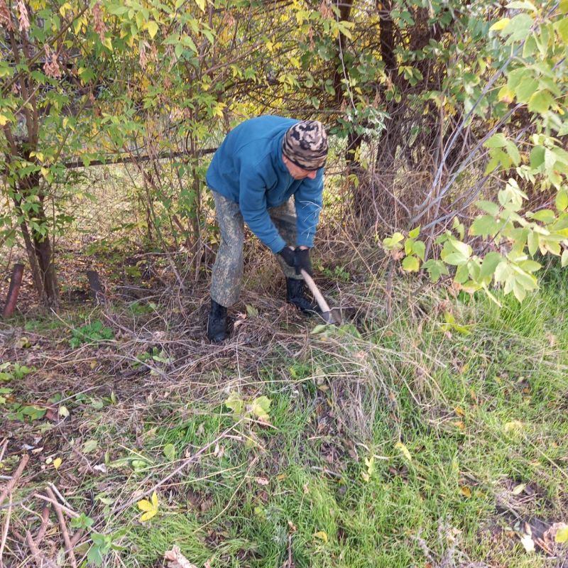 ������ �� ������: ������ ���� �������� �� ������ � ������� ������� �������