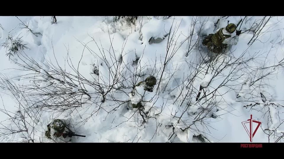 ����������. ������� ������ �� ���������