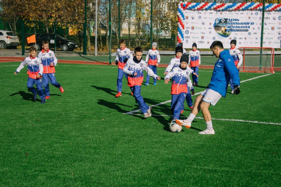  :     -             -  