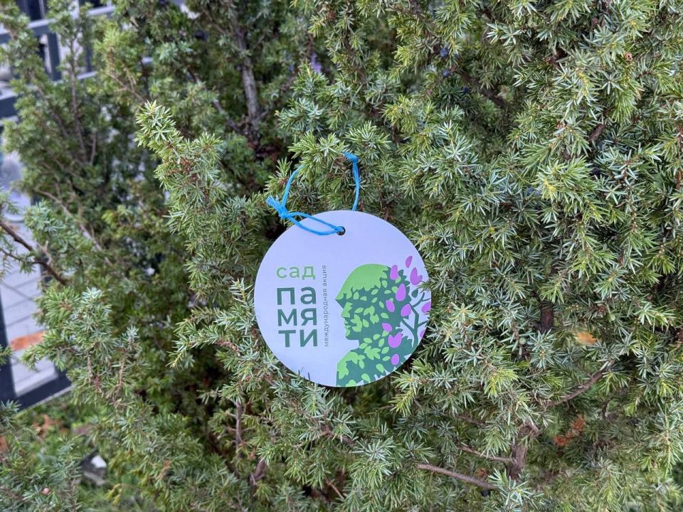 В рамках партийного проекта "ЕДИНОЙ РОССИИ" "Историческая память", активисты Мариупольского местного отделения приняли участие в масштабной эколого-патриотической акции по высадке деревьев " Сад памяти ", которая проходила в...