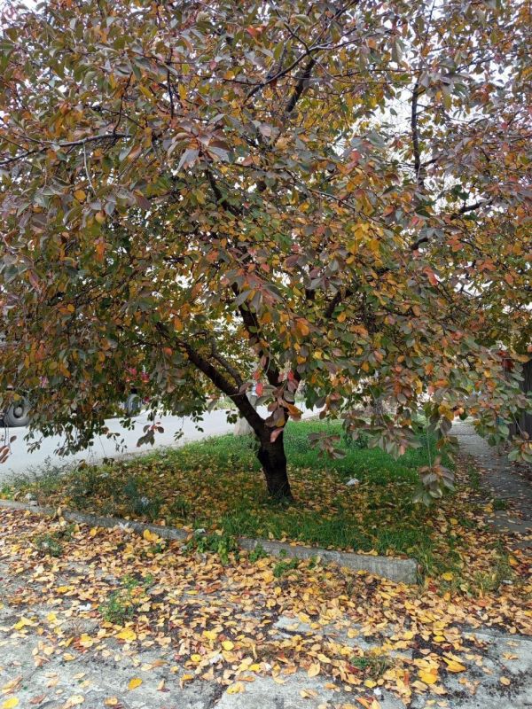 ������� ������������� �����