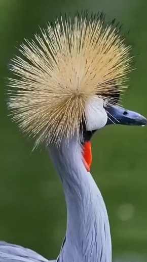 С добрым утром, Мариуполь!