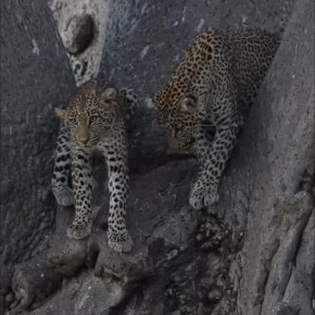 Спокойной ночи, Мариуполь!