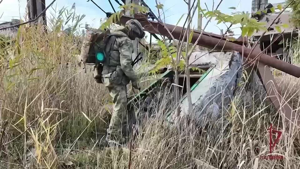 ����� ����������������� ����������, ����������� ������ ��� � �������� �������� ����������, � ���� ���������� �������� ���������� � ����� �� �������� ������ ����������� ������ ����� ���������� ������������� �����* ���