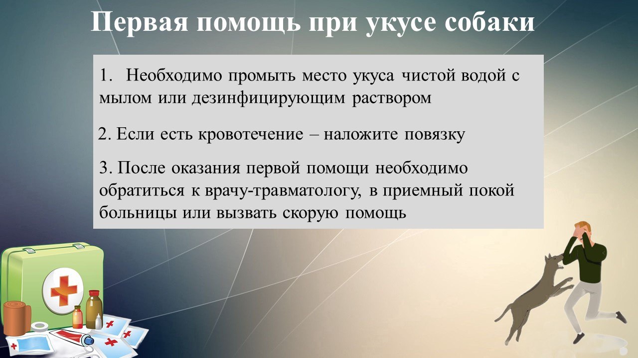 Правила безопасности при встрече с агрессивными бродячими животными