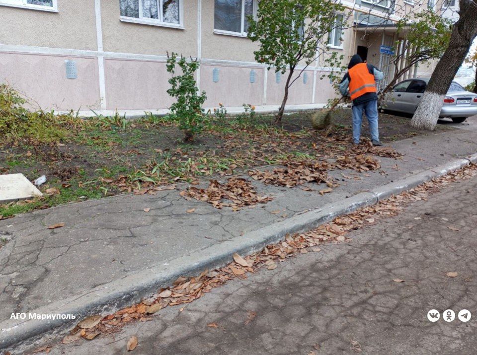 ������������� ������ ������� � ��������� ������ ������������� �����������