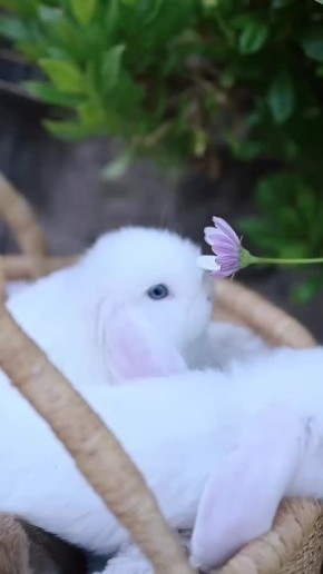 Доброе утро, Мариуполь!. Пусть этот день начнётся с хорошего настроения, доброй улыбки, вкусного завтрака и исполнения желаний