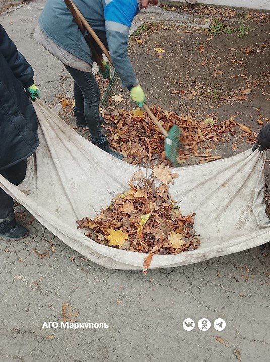 ������������� ������������� ���������� �������� ������� �� ������ �����������