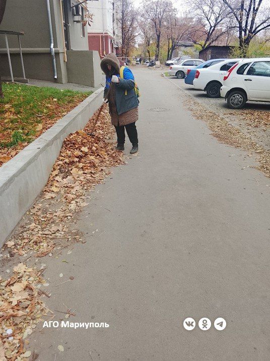 ������������� ������������� ���������� �������� ������� �� ������ �����������