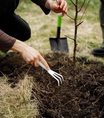 ��� ���, � ���� ���� ���� ���