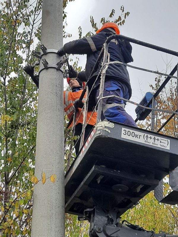 ��������������: ������������ ������ ��������������� ��� "��������������" �� ��������� ������ ��� �������� ��� �����, ������������ �� ����������� ������������ ������ ����������� ��������